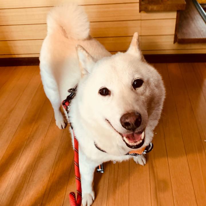 F7e01ec7 f9ce 41d7 9176 427c484fab02 1639355675196