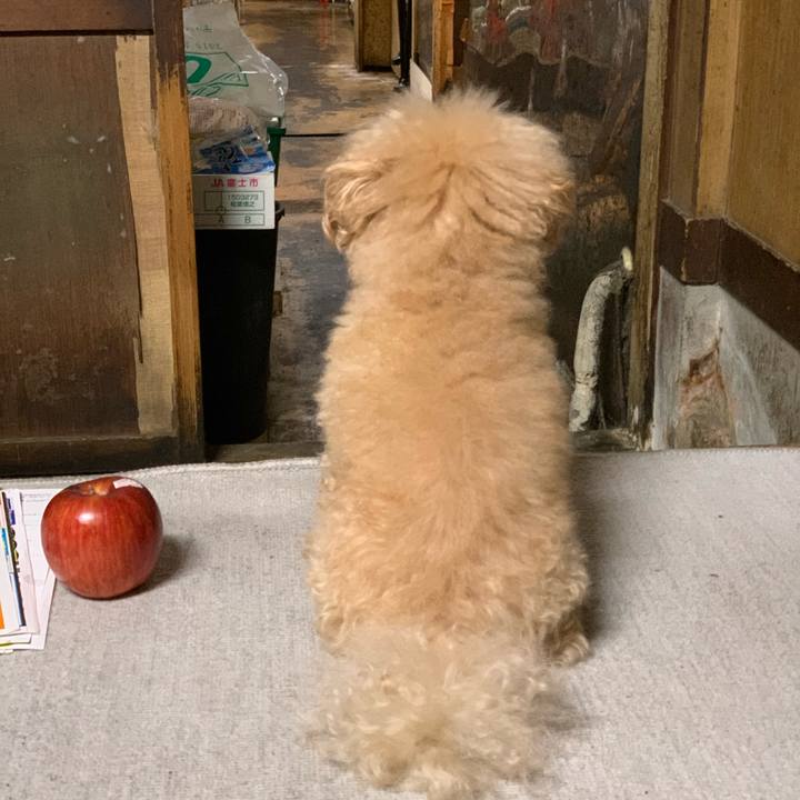 F7e059f1 31dd 4ec4 a3bf 209a7e3728e7 1601727395334