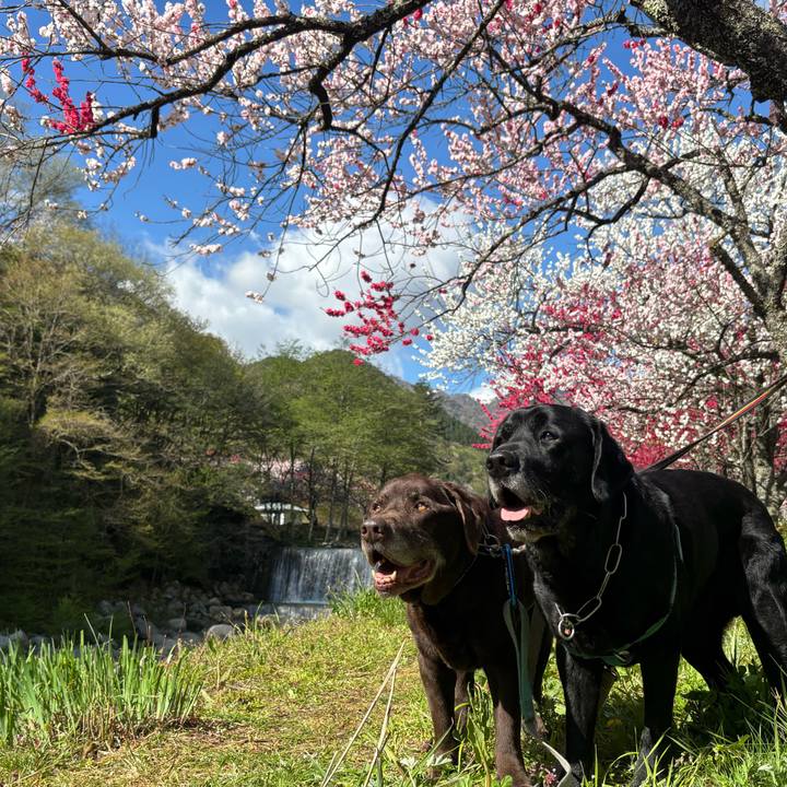 F7e06c4c 878d 4d40 9dcb eb237318561d 1777082811021