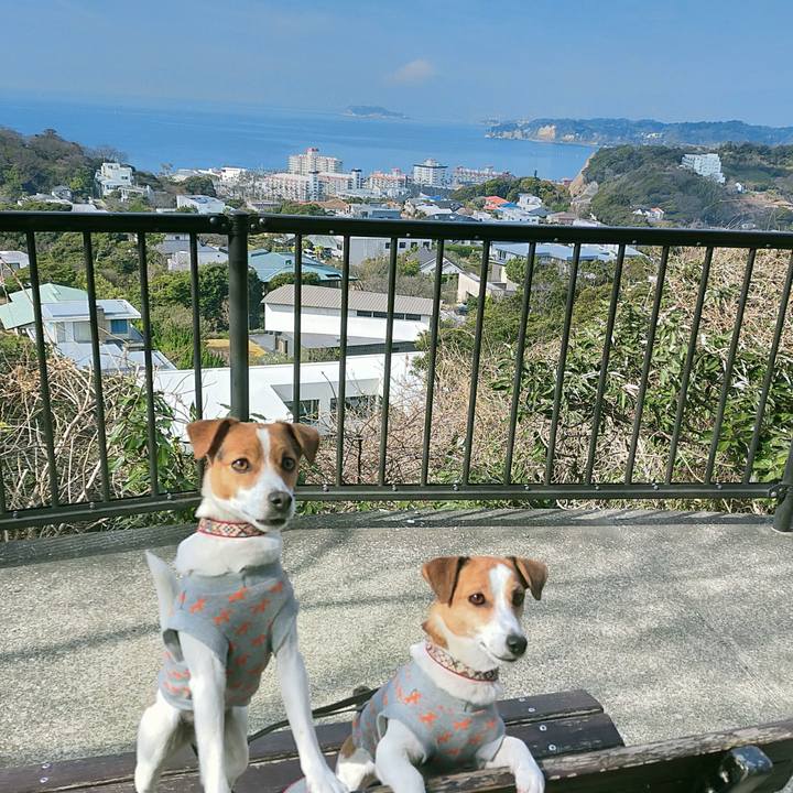 F7e079e9 5143 4caa 8803 fba4d5ffb5b1 1771054823624