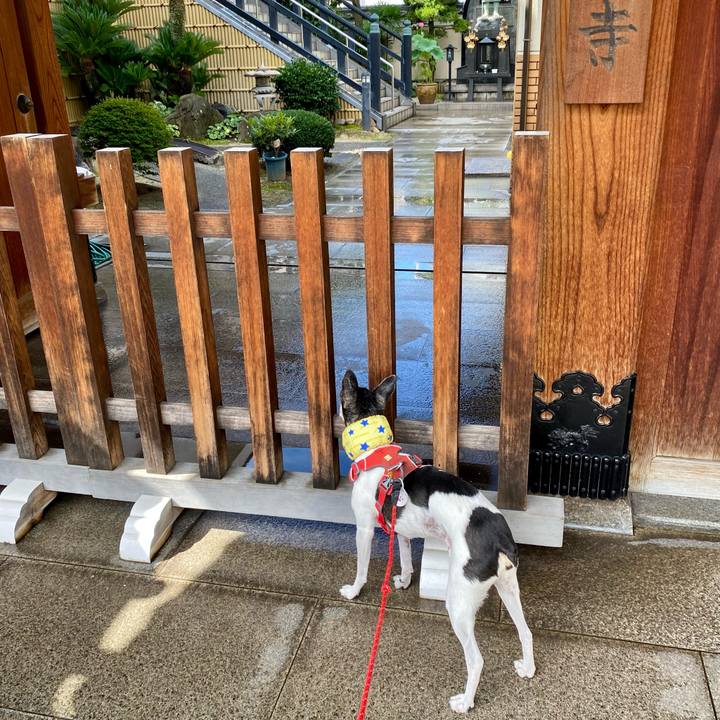 F7e0a689 b4f9 404c 8dfd 5d0bd67ba81b 1626480545117