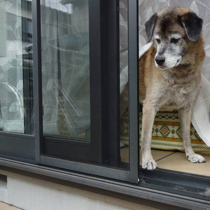 F7e12ffa e5b9 4afe 8edb 1d005e61b99b 1679277843475