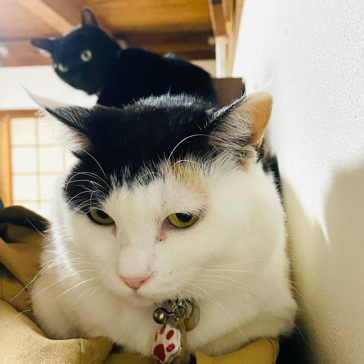 F7e13932 ae04 4ff3 9bd3 af72acc26523 1733527516138