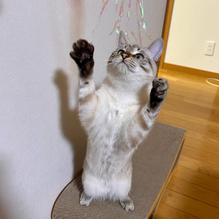 F7e13f05 68ce 403a 94cd 8c7d66a15952 1737375382693