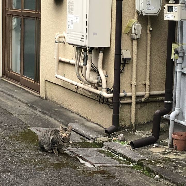 F7e1d05b 85a5 411d b4a8 ed112bed681e 1638013637394