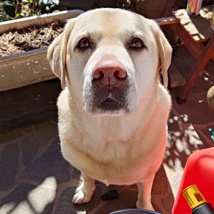 F7e2020e 319e 49f4 adbb 03c2679403cd 1739327987855