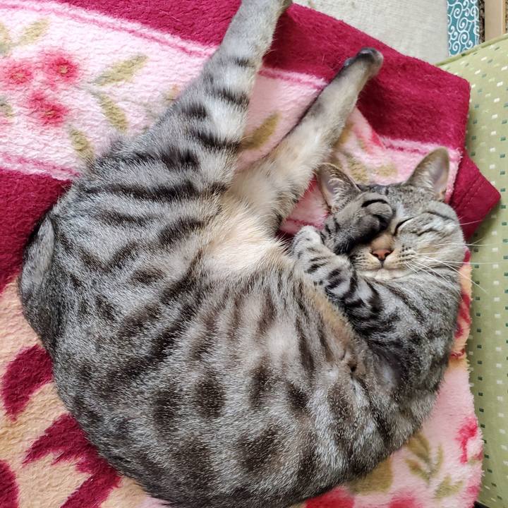 F7e21002 5cf1 4d6e aa1f 4fc5b058881b 1709606426832