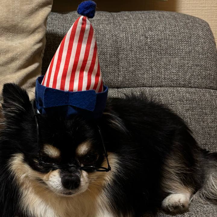 F7e2588d ef19 40fd 8dc6 b237313b35b7 1760349860162