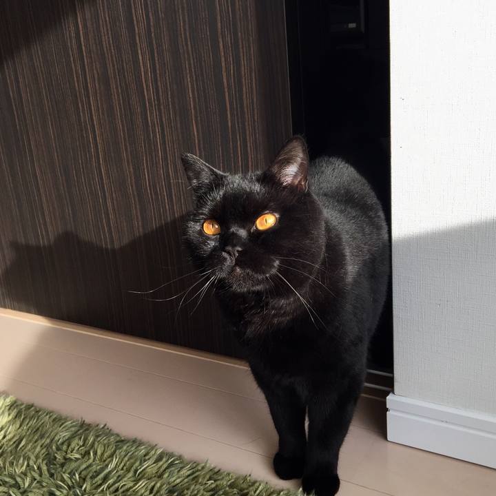 F7e26c65 9a3e 4c9d 8202 f2f6e8b619ce 1523660424486