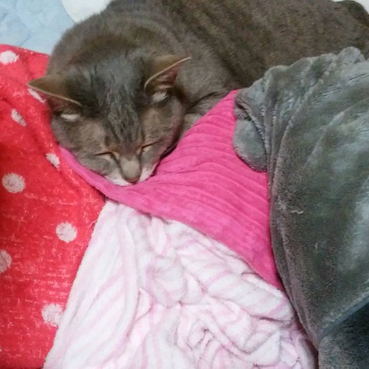 F7e2710b 18a7 42b2 b6e1 d06e43b7e988 1590094843235