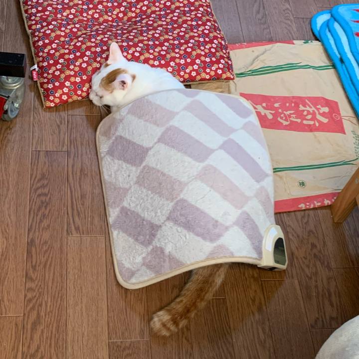 F7e2785e d5c5 4b0d 9857 7a9a1e626627 1605911336225