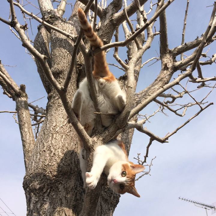 F7e280d0 f31a 46f3 8eb7 e4840a0f05bb 1518258272054