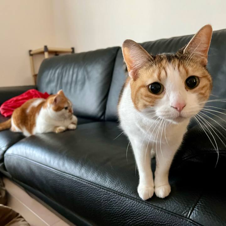 F7e29809 1a3e 4274 8c7e 5b7c6a496241 1770003730852