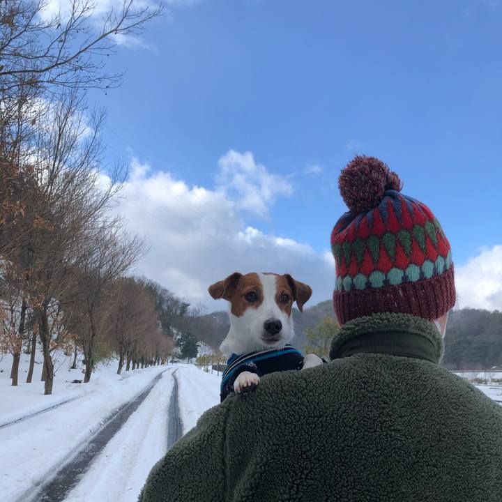 F7e2a120 4f2f 4a94 8f21 b30637b0fae1 1641172775597