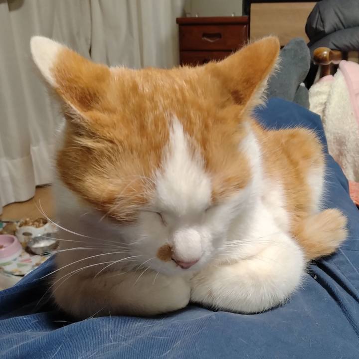 F7e2ce77 0010 4102 a6d9 a95b86874089 1774434320622