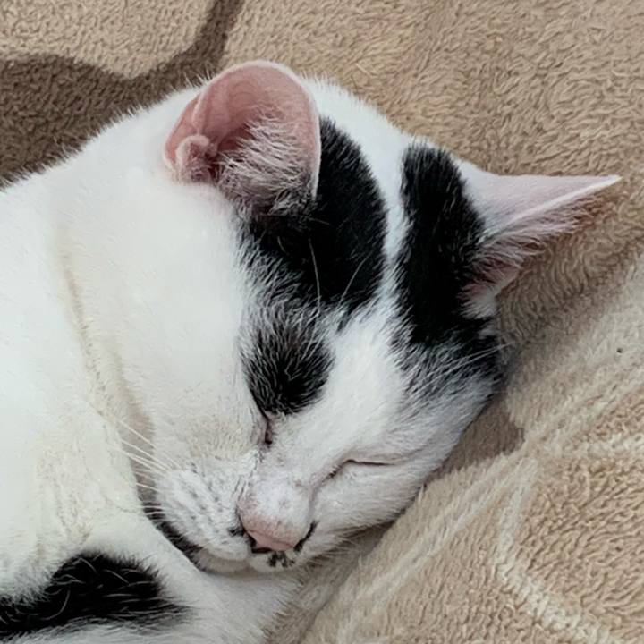 F7e2ddaa 1bdf 41e7 ba91 08be1b9a06c3 1710887911645