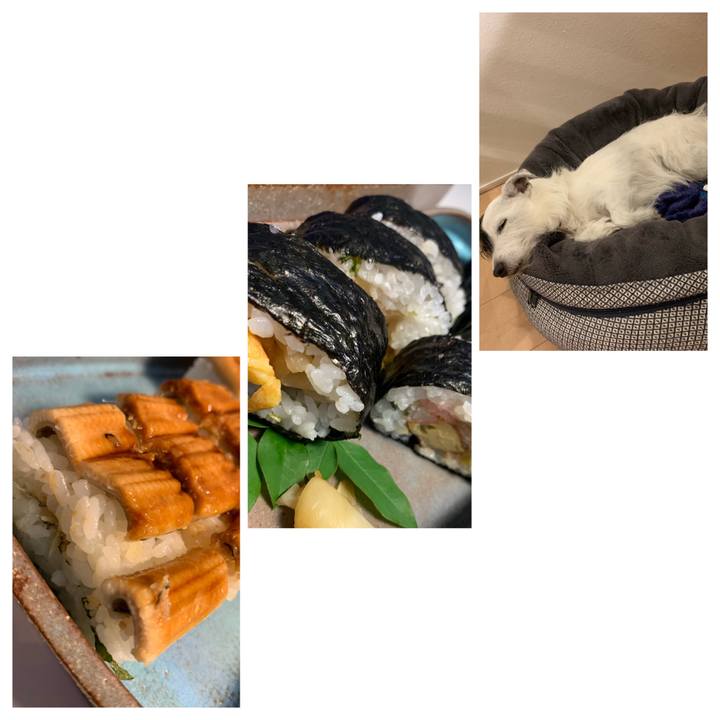 F7e2df3d b1e6 4135 b2cb 588dd5c911c7 1652449142728