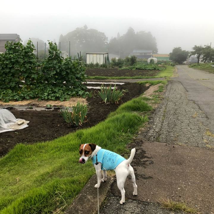 F7e2fb17 713a 479b 80bb f478896ec599 1564910254397