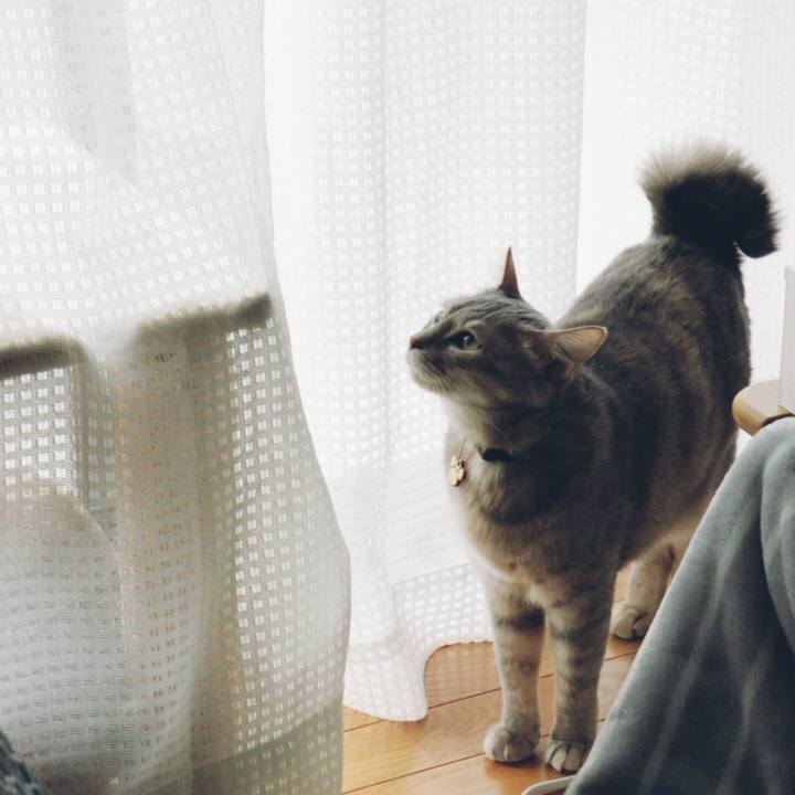 F7e30ded 2399 477d a2e1 afb6b21d61b8 1582684272839