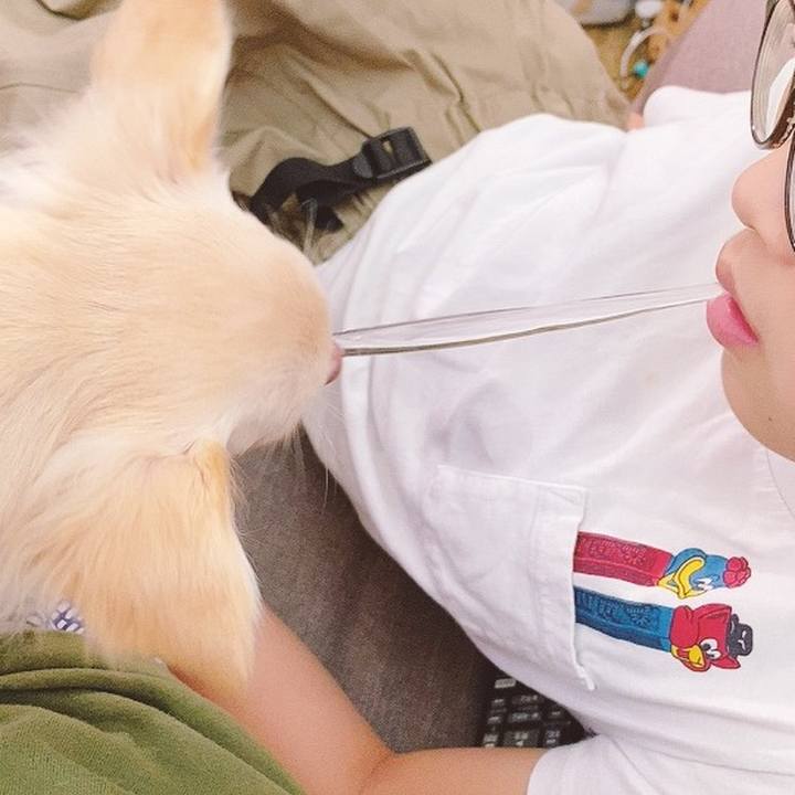 F7e3217c 5f00 4602 86ea 01f21ebf5232 1600470720393