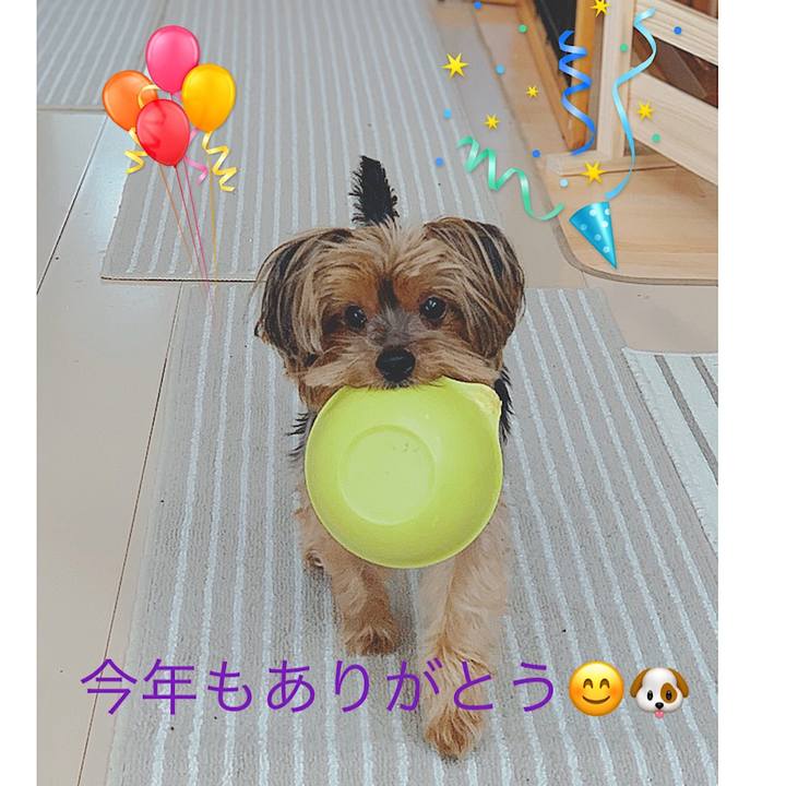 F7e334b6 1760 47db 83b2 b170bb20c939 1577745150506