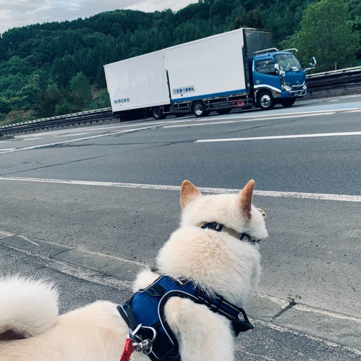 F7e33a7c 8b25 45fb 9a32 babf538a7d64 1622668672159