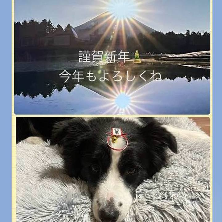 F7e34053 c63c 4524 92b2 abdf4f91eb21 1767271984370