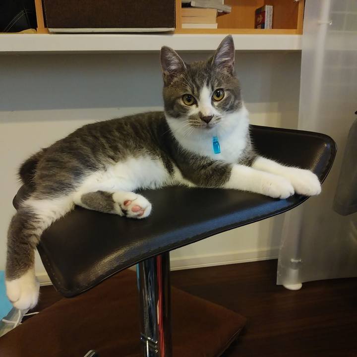 F7e3431e 52d3 45d0 a3a9 b9a645eef785 1570330069086