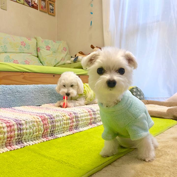 F7e37701 ae08 4300 b57c 77b8744e0e17 1575860976696