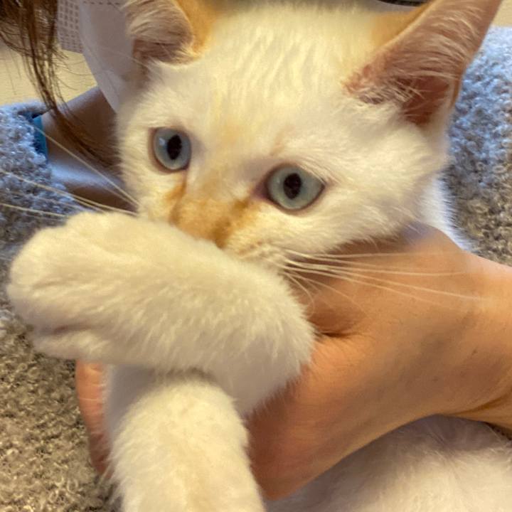 F7e37a67 e314 4333 92f8 16ab5872881a 1574337640100