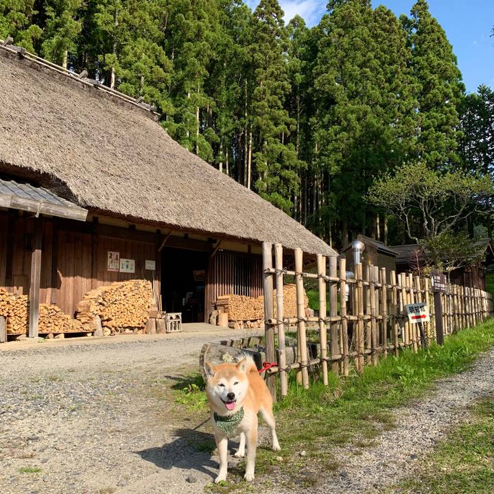 F7e3bd1a 0353 4f3b 8f20 b6d2b59b27e3 1682066964465