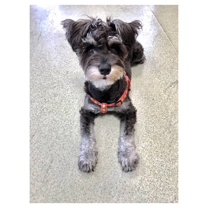 F7e3f43f 1aa8 472b 93d0 d522dd6761fa 1542816128707