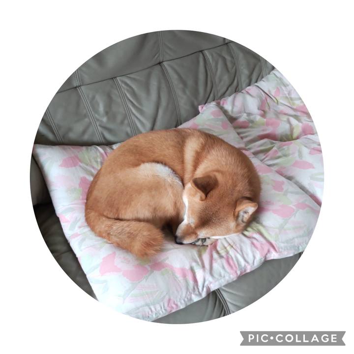 F7e44ecc 0877 4f17 9be7 ad5ef920183f 1696469758207