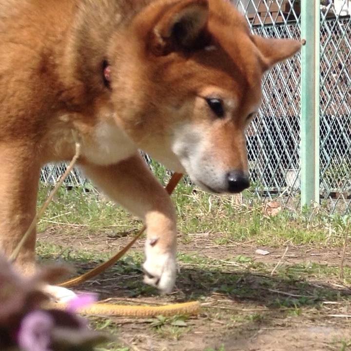 F7e4558d 30dc 4647 840b 2bc77fca73f2 1522113425411