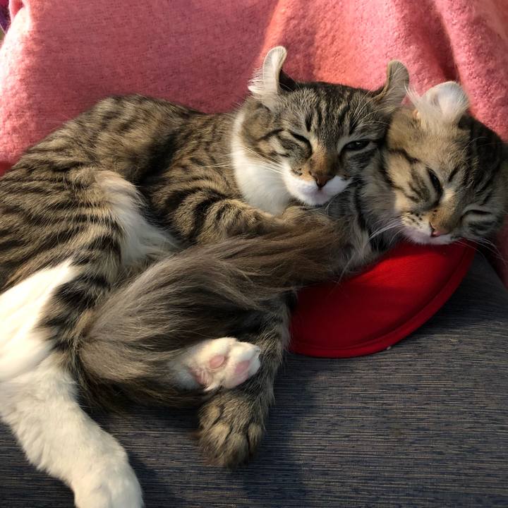 F7e467be 0bf2 4be3 a047 bad367d2d271 1513294517673