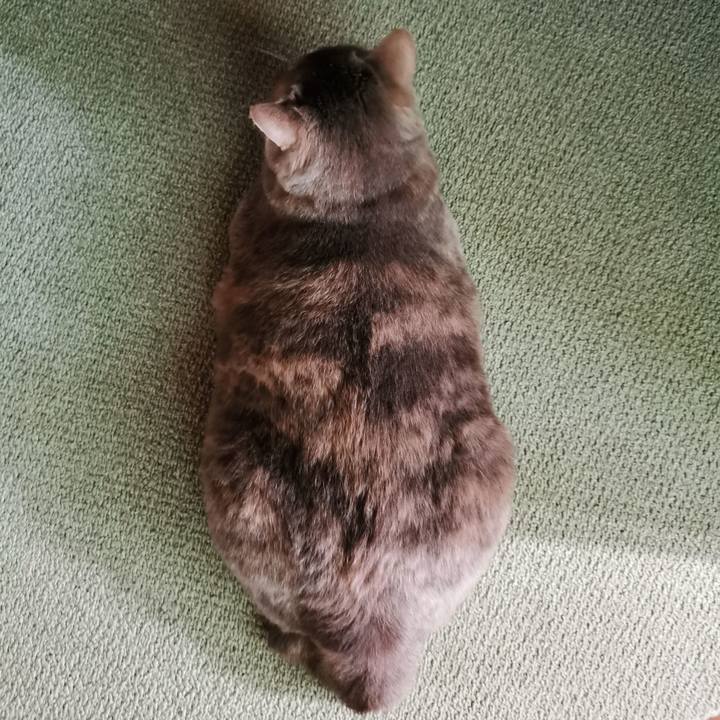 F7e46f2b 3e88 45bf 9b3d d535defd4773 1624591442328