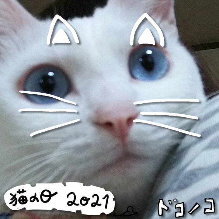 F7e48ccd ff3f 4253 a029 b3eb9bb0e9ee 1614010534965