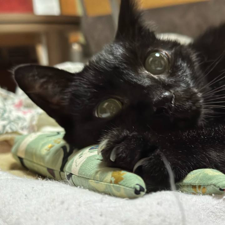 F7e49c21 d505 4f50 8738 80e71307235f 1697335822543