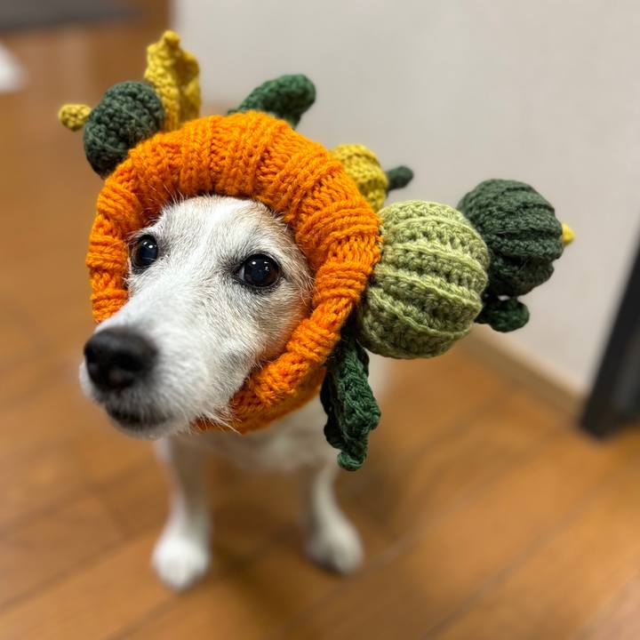 F7e4a8e1 8540 4840 9a7b 19c62db9ebeb 1761865861882