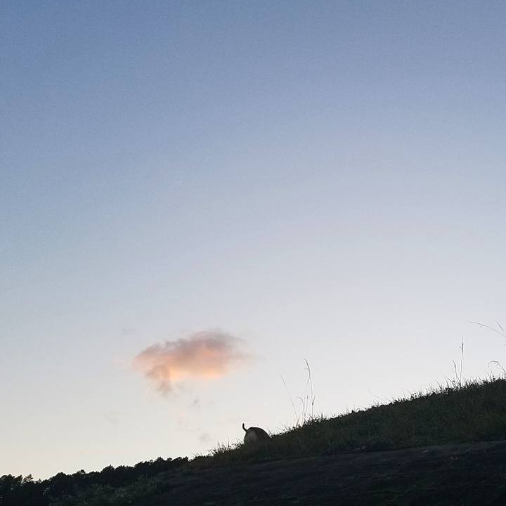 F7e4bb51 01dc 414b 83d6 75b1a296f769 1547369978660