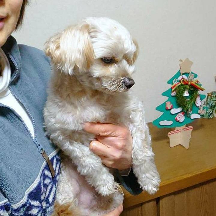 F7e4c50e 04c8 4454 b41b ff7c7515706f 1608892911507