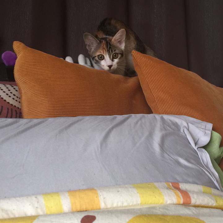 F7e4fbb5 23d9 454d 98f9 c5d1388a18a1 1633496432671