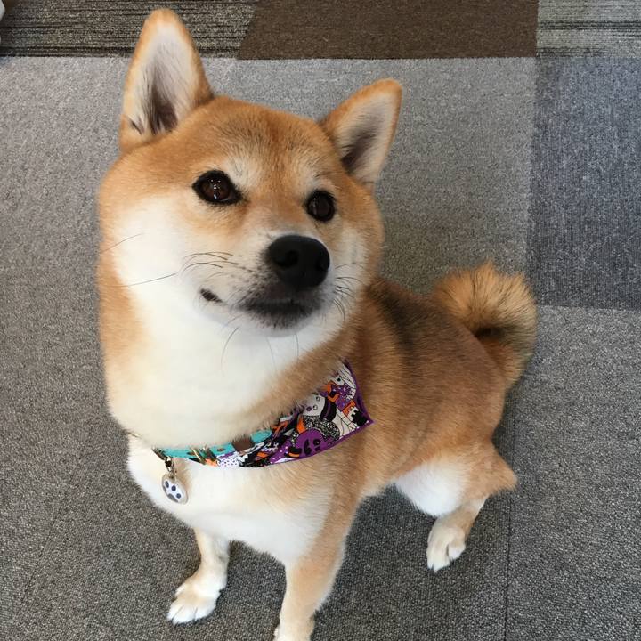 F7e50a8a 2439 4960 8287 109404799366 1573107983816