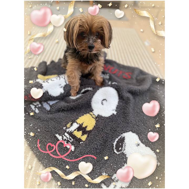 F7e5a894 0428 4ec6 92e7 c9af9574dee7 1676371808766