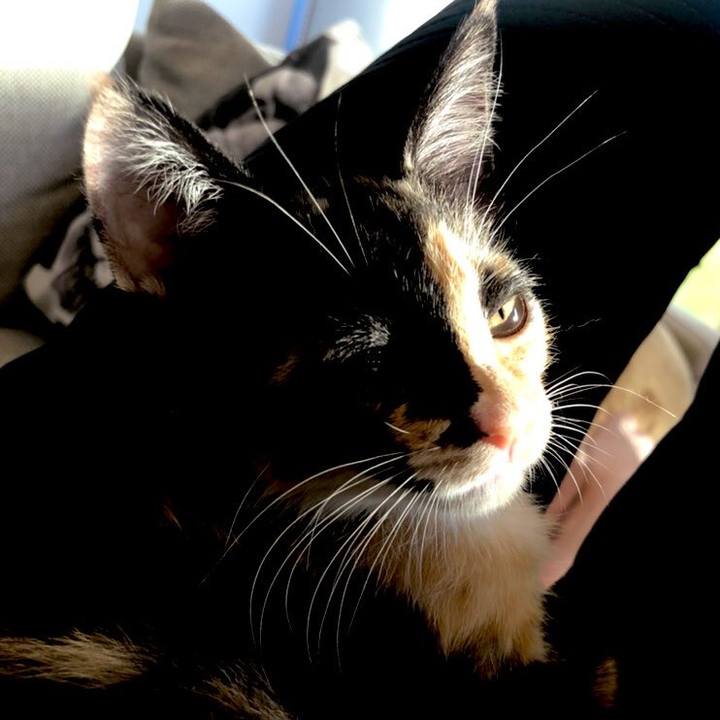 F7e5aae0 1b96 4c14 914e 264edfd43b93 1626520134134