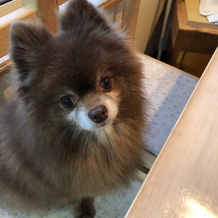 F7e5dde4 5915 4b63 9d75 2df39ca48e09 1612397614957