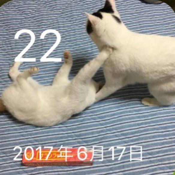 F7e5f660 2c18 404f 8048 2d5f18920001 1655892699181