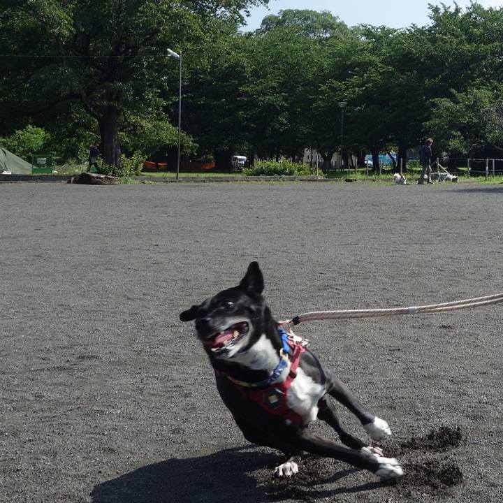 F7e61d62 3342 4f0d 8515 9045916c5ee9 1686098990427