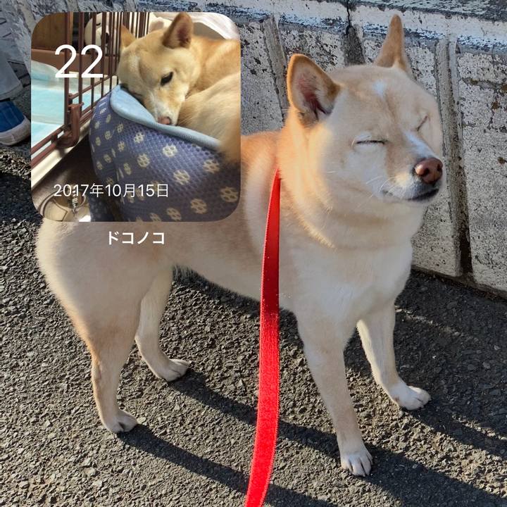 F7e64d8c 581d 4306 92e1 e9400af97a39 1634863288954