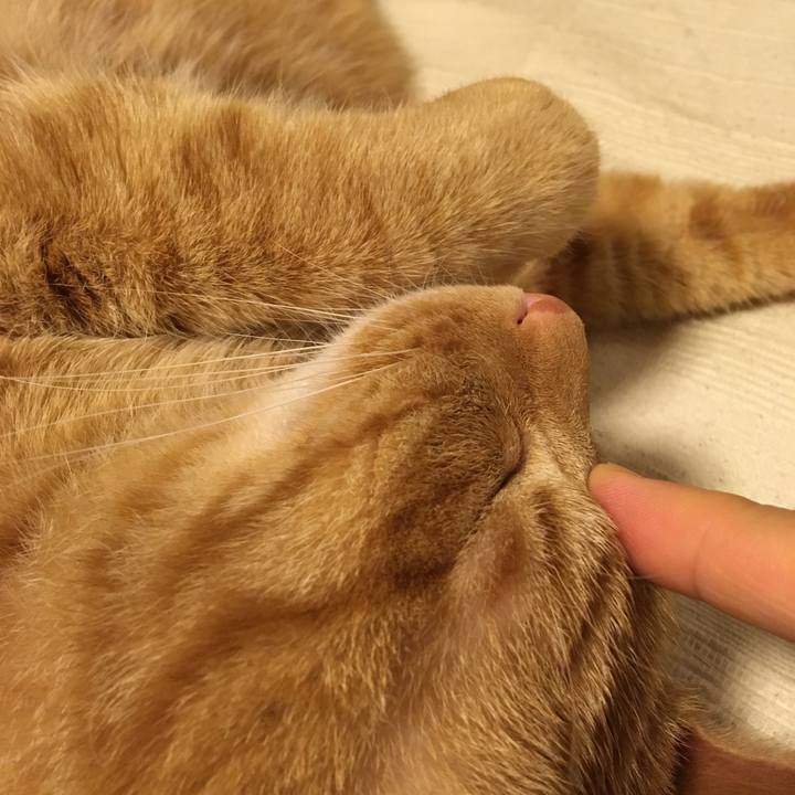 F7e666ba 52cf 421d 8ee8 0360829b1155 1530921660136